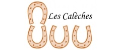 L'équipe caleches800